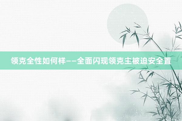 领克全性如何样——全面闪现领克主被迫安全置